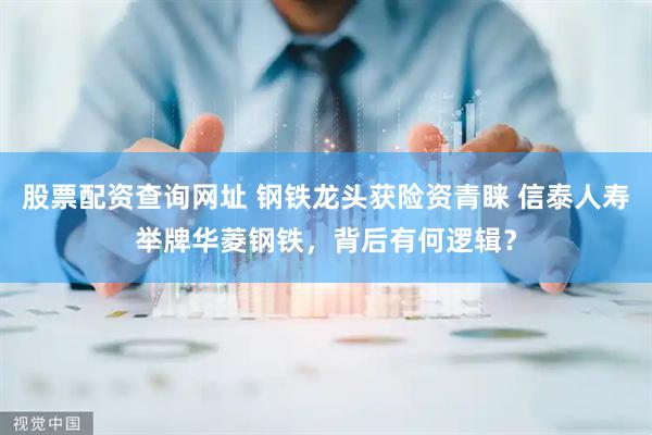 股票配资查询网址 钢铁龙头获险资青睐 信泰人寿举牌华菱钢铁，背后有何逻辑？