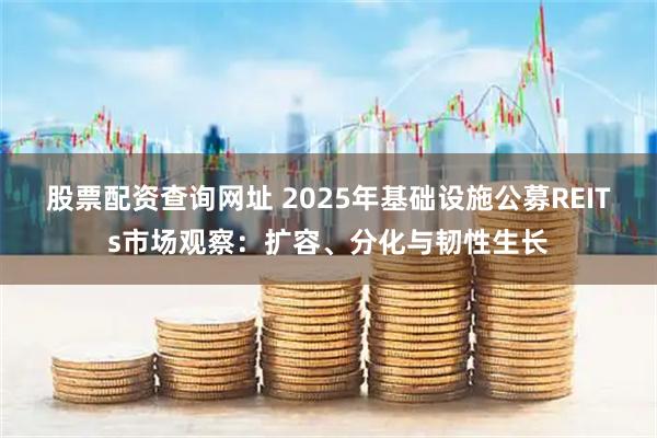 股票配资查询网址 2025年基础设施公募REITs市场观察：扩容、分化与韧性生长